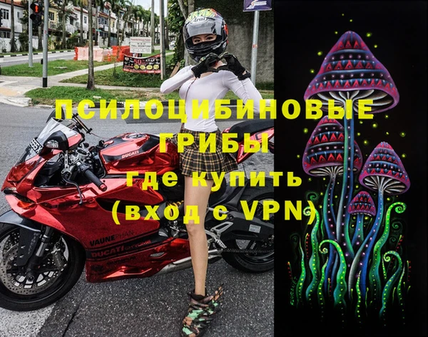 ГАЛЛЮЦИНОГЕННЫЕ ГРИБЫ Арсеньев