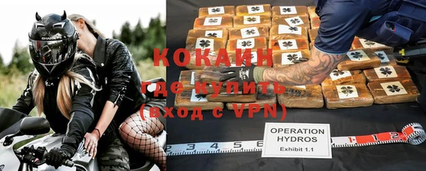 ГАЛЛЮЦИНОГЕННЫЕ ГРИБЫ Арсеньев