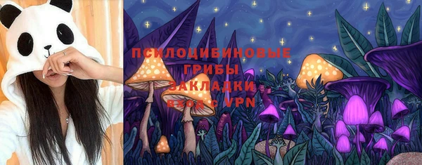 ECSTASY Аркадак